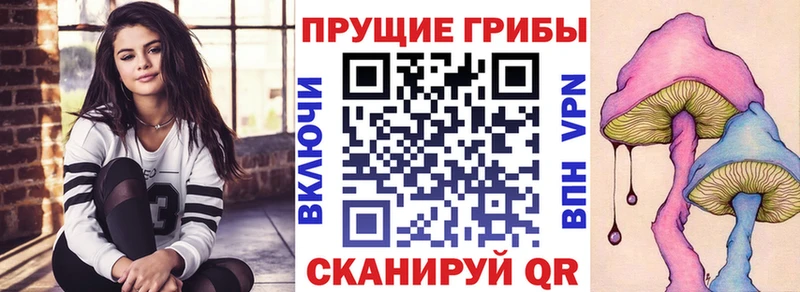 мега зеркало  Нахабино  Псилоцибиновые грибы Psilocybe 