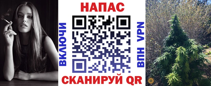 Шишки марихуана план Нахабино